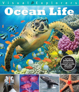 Ocean Life (Visual Explorers)
