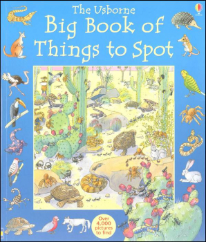 Big Book of Things to Spot (Usborne)