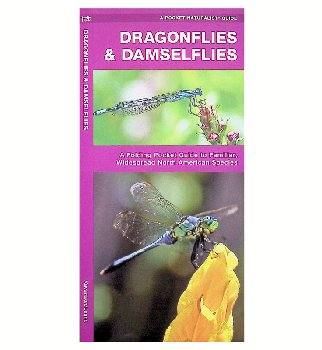 Dragonflies & Damselflies Folding Pocket Guide
