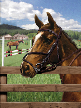 Painting By Numbers - Equine Paddock (Jr Small)