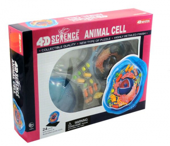 4D Animal Cell Puzzle