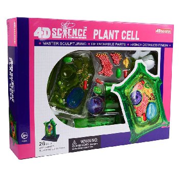 4D Plant Cell Puzzle