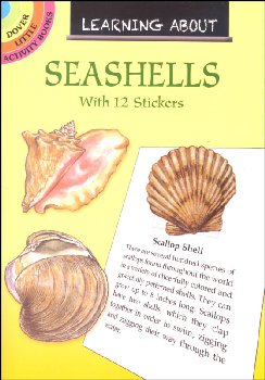 Learning About Shells