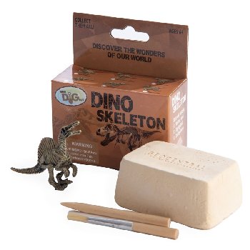 Dino Skeleton Mini Dig Kit