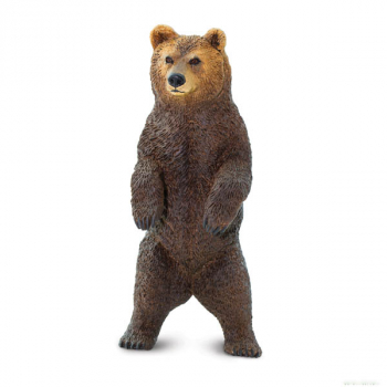 Grizzly Bear (Wild Safari North American Wildlife)