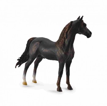 Chestnut Morgan Stallion (CollectA)