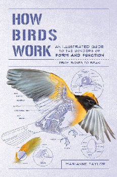 How Birds Work: An Illustrated Guide to the Wonders of Form & Function
