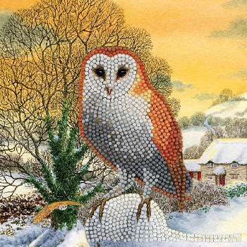 Crystal Art Card Kit - Winter Owl
