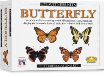 Eyewitness Butterfly Kit