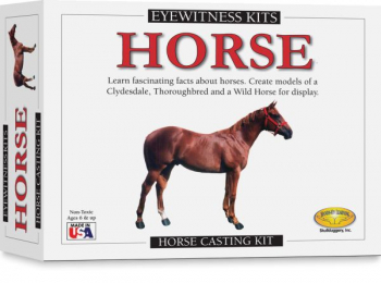 Eyewitness Horse Kit