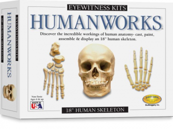 Eyewitness Humanworks Kit