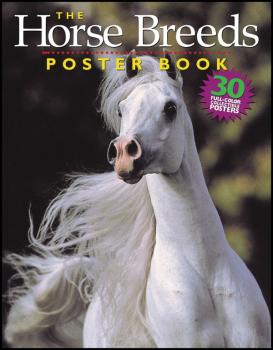 Horse Breeds Poster Book