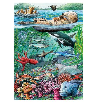 Life on the Pacific Ocean Tray Puzzle (35 piece)
