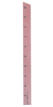 Primary Wood Ruler: 1" Increments