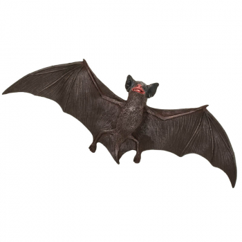 Brown Bat (Incredible Creatures)