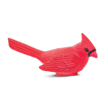 Cardinal (Incredible Creatures)