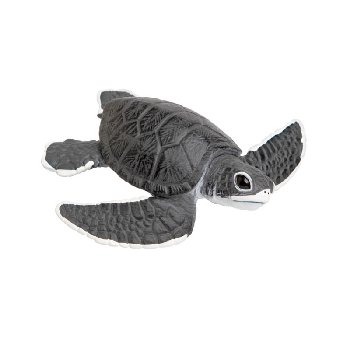 Sea Turtle Baby (Incredible Creatures)