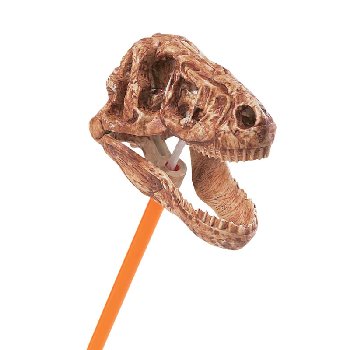 Snapper T-Rex Skull (Safariology)