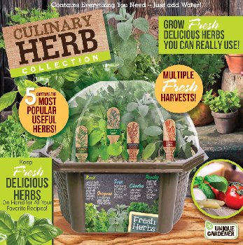 Culinary Herb Collection(Biosphere Terrarium)