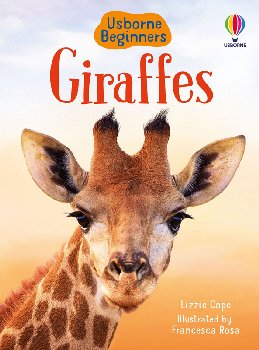 Giraffes (Usborne Beginners)