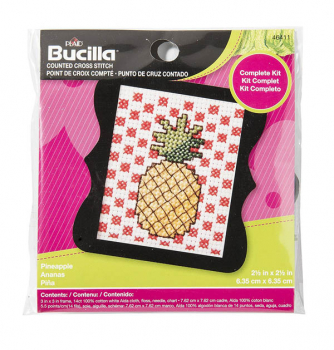 Beginner Mini Stitchery Kit - Pineapple