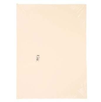 Art1st White Watercolor Paper - 140 lb. (18" x 24") 50 sheets
