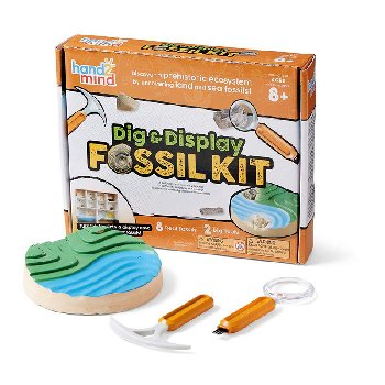 Dig & Display Fossil Kit
