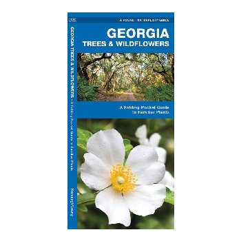 Georgia Trees & Wildflowers