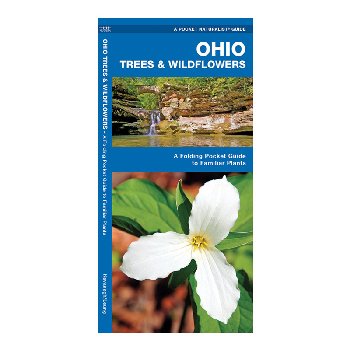 Ohio Trees & Wildflowers