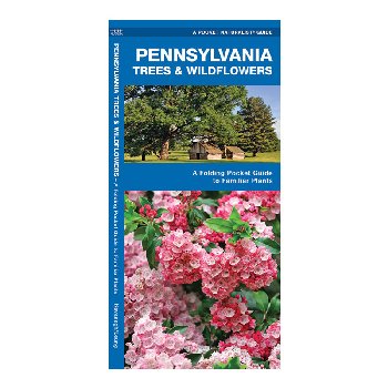 Pennsylvania Trees & Wildflowers