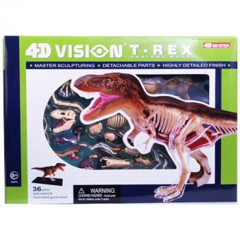 4D Vision T-Rex Anatomy Model