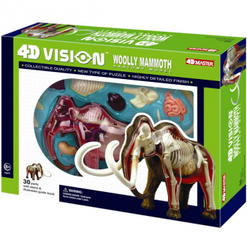 4D Vision Wooly Mammoth Anatomy Model