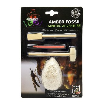 Amber Fossil Mini Dig Adventure