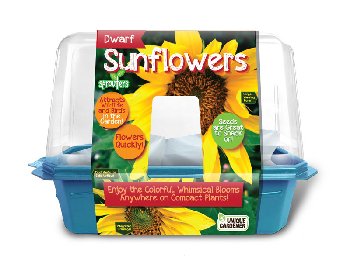 Dwarf Sunflowers (Sprouter Greenhouse)