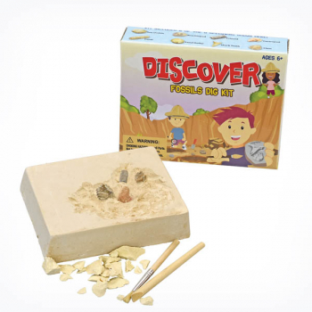 Discover Fossil Dig Kit