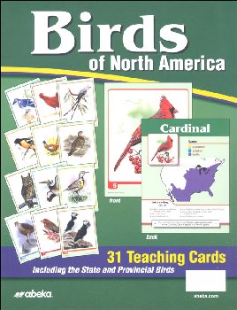 Birds of North America Teaching Cards 4-6
