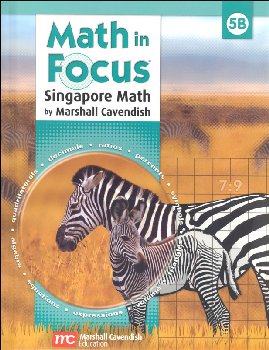 Math in Focus Grade 5 Student Book B