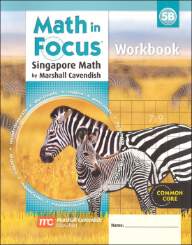 Math in Focus Grade 5 Workbook B