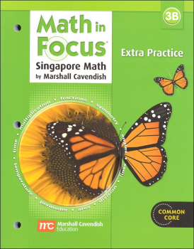 Math in Focus Grade 3 Extra Practice B