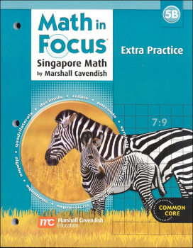 Math in Focus Grade 5 Extra Practice B