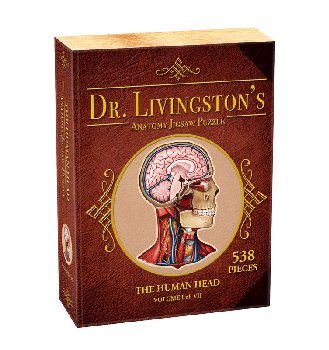 Dr. Livingston's Anatomy Jigsaw Puzzle: Human Head