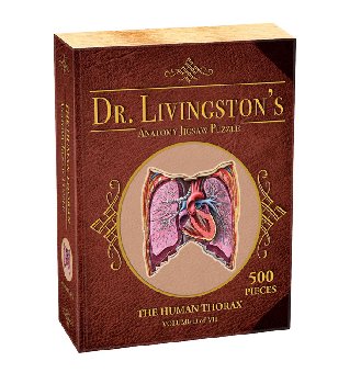 Dr. Livingston's Anatomy Jigsaw Puzzle: Human Thorax