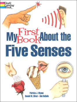 My First Book About the Five Senses