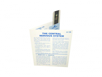 Central Nervous System Microslide Lesson Set