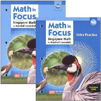 Math in Focus: Singapore Math Extra Practice Bundle, A & B Grade 4