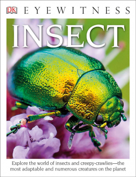 Insect (Eyewitness Book)