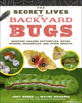 Secret Lives of Backyard Bugs
