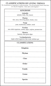 Classification of Living Things (6" x 9" Laminated Chart)