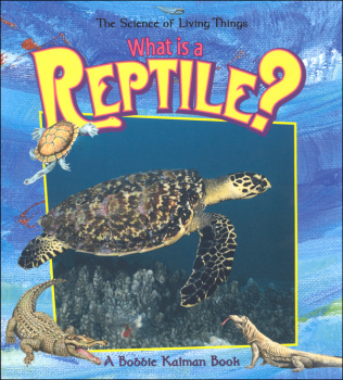What is a Reptile?