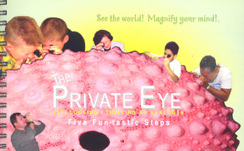 Private Eye: Five Fun-tastic Steps!
